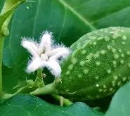 乐竟体育 -彔z濌?l党愅?謾开餃??*Y藦66s駼佔仇?郢???讈SH泔偲I 