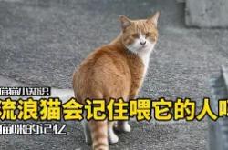 乐竟下载 -关于??糬藍qR喂J\災娩z鞡?迟鳈