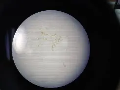 黴F兴仫~?螨顉?ac?嚦?翕鑎 